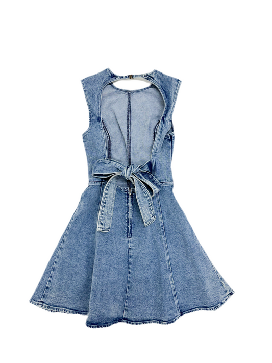 Emily Jean Dress, DENIM